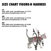 CAT FIGURE-H HARNESS SIZE CHART IMAGE 2_resize
